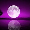 moonnight - FHE
