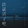 错就错了吧 (男版伴奏) - 言川
