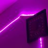 Working (Explicit) - Codn_