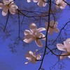 进厂进行曲 - dj冰鹤&阿泽&小怡&乐乐