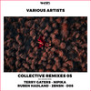 Furusato (D05 Remix) - Terry Gaters&D05