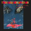 Chemical Animal - The Jesus And Mary Chain&William Reid&Jim Reid