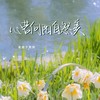 心若向阳自然美 - 老胡子男孩