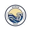 Ocean - Mewa