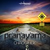 Wadley Healing (Original Mix) - Pranayama