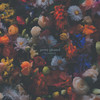 Skin (Explicit) - Like A Motorcycle&Kim Carson&KT Lamond&Dave Casey&Clare Macdonald