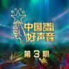 蝇 (Live伴奏) - 傅欣瑶