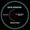 Duck Feet - Dave Winston