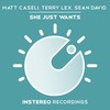 She Just Wants (Alternate Beat Mix) - Matt Caseli&Terry Lex&Sean David