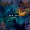 Jungle (Radio Edit) - Ibitaly&Elle