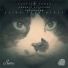 Raise Your Glass (Remix) - Florian Kruse&Coyu&Bastian Bux