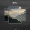 Hiding (Original Mix) - Moiety