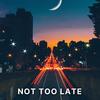 Not Too Late - BODUR