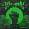 Puño Arriba - CONOSOUND&Sonico&Dead Bird&DJ Mets&Incognitoisaac&Smooth-W