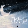 月光海（广播剧《折月亮》片尾曲） - 月灵纷飞&青龙捕快