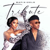 Tribute - Mafikizolo