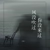 风没吹过你没来过 - 洋澜一