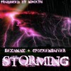 Storming - LeXanax&Chicken Lover&Nimikyu