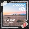 Nobody Like You - Skyzed&Lynat