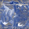 Gateway to Minia - Planetary Assault Systems