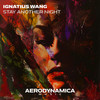 Stay Another Night (Extended Mix) - Ignatius Wang