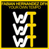 Your Own Tempo - Fabian Hernandez DFH