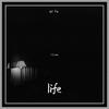 life (其他) - Lil Fin