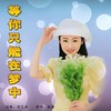 等你只能在梦中（女版独唱） - 刘芝怡