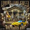 Shit On the Floor (feat. BoGleesh) (Explicit) - Big Gucci Bri&BoGleesh