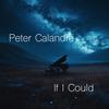 If I Could - Peter Calandra