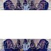Perfect Harmony (feat. Willz & Prod by LMO) (Explicit) - Shizzy P&Willz&Prod by LMO