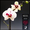 Waterfall (Original Mix) - AndrewP