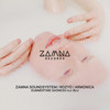 Summertime Sadness - Zamna Soundsystem&ROZYO&Armonica