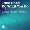 Do What You Do (James Robson's Global Dub) - Jake Chec