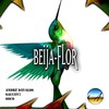 Beija-flor (feat. Soco) - André Dávalos&Saucev7&Soco