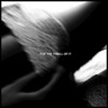 For the Thrill of It - Counterfeit