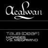 Taub (Extended Mix) - Morees&Megamind