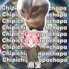 chipi chipi chapa chapa - 扇宝