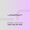 Can't Feel My Face - Monde&Ivan Lake