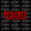 Pedigree (Explicit) - King Hitta&Yung Dapp