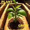 Plant Seeds. Grow Trees. (Explicit) - ¥£$&Marc Maxwell Smith