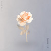 Hold On - Gill Chang&Maazel&Danni Carra