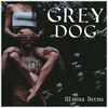 Шлюха Весна - Grey Dog