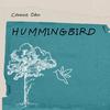 Hummingbird - Connie Obn&Still Blessed Music