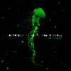 Daydream (feat. Ron Carroll) - Alex Kislov&Ron Carroll
