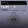 Can't See (Instrumental) - Thallulah&William Medagli&Jose Maria Ramon