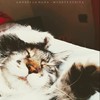 Muerte Súbita - AndréslaNada