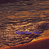 One For You - Patricia Phillips
