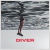 Ride the Wave - Diver