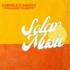 Paradise Trumpet (Radio Edit) - Gabriele D'Andrea